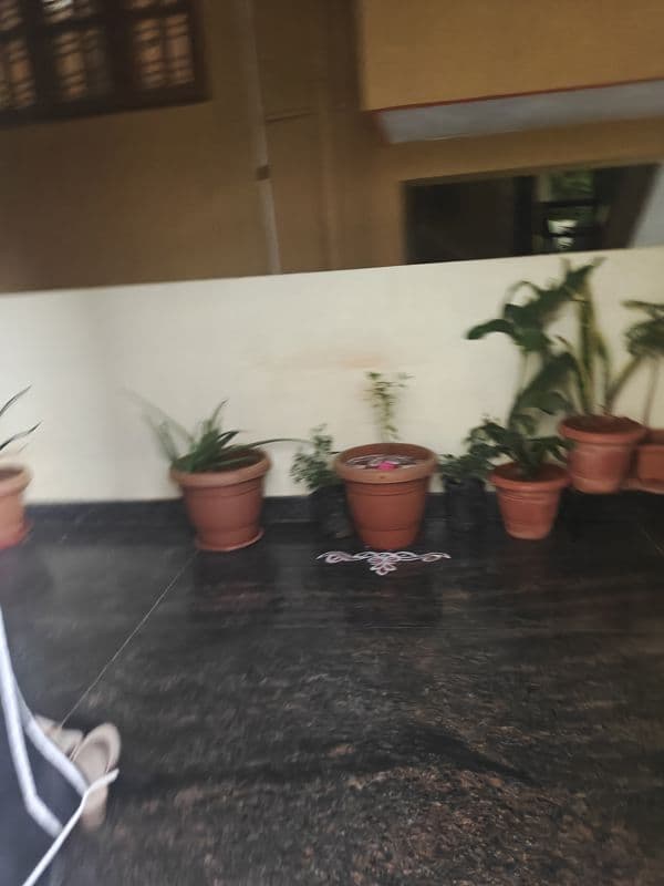 Puravankara Purva Promenade 2BHK